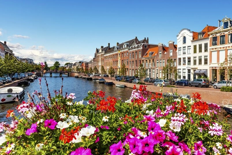 haarlem-804×537